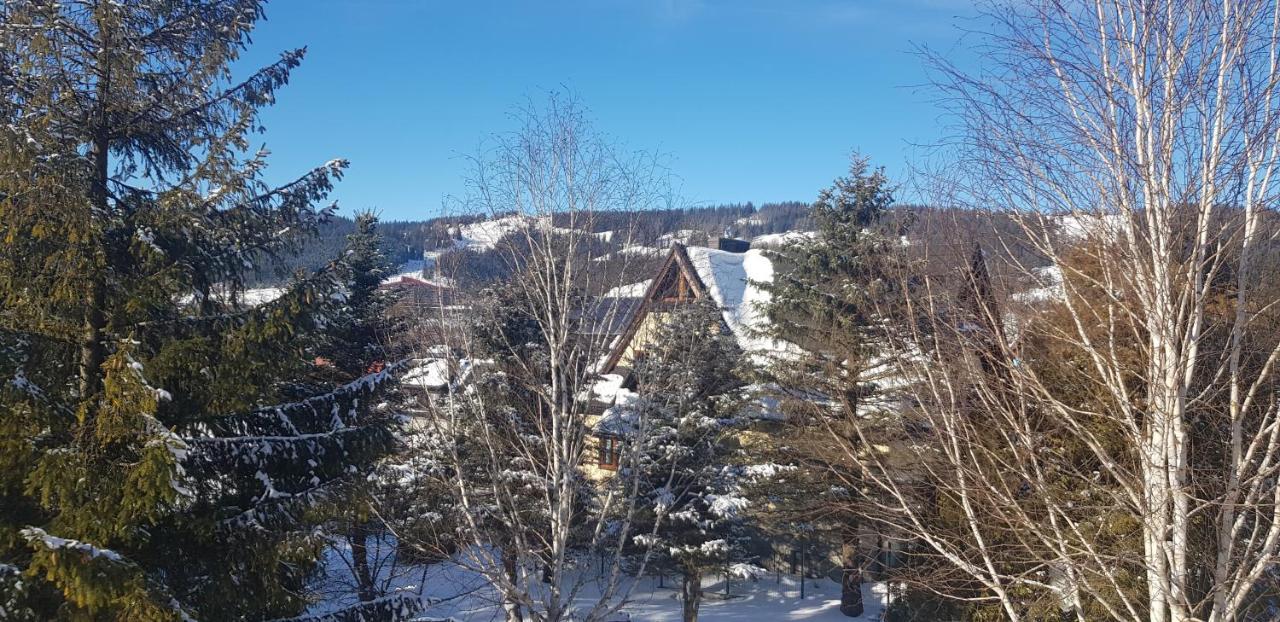 Local 21A Villa Zakopane Ngoại thất bức ảnh